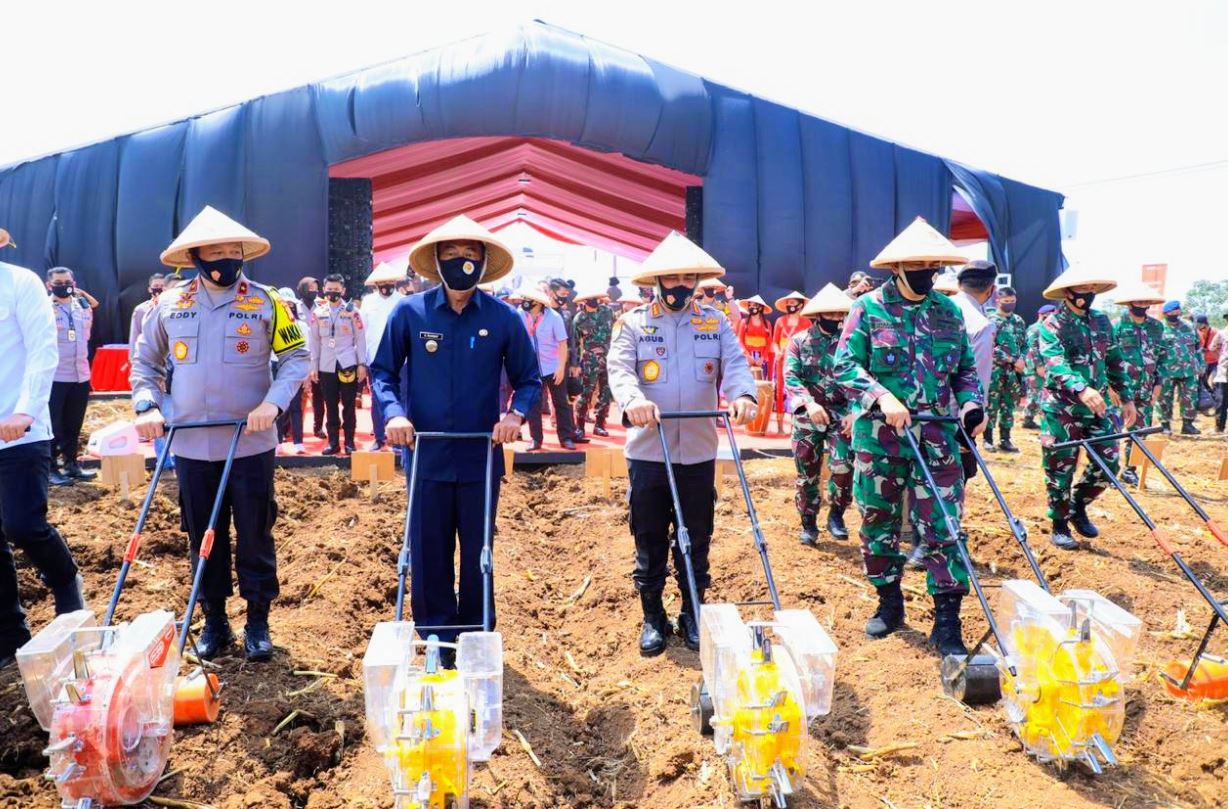 Dukung Program Pemerintah, Akabri 89 Gelar Program Ketahanan Pangan