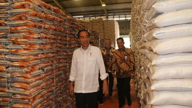 Jokowi: Pemerintah Sebetulnya Tak Suka Impor Beras