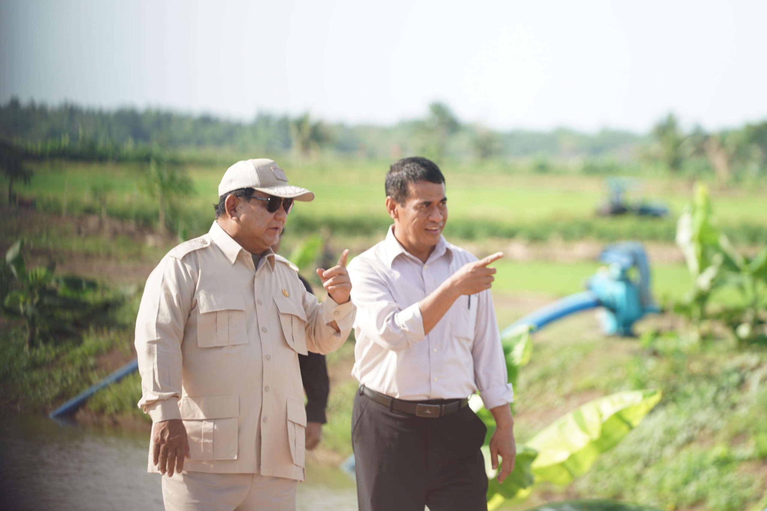 Food Estate Merauke Akan Jadi Lumbung Pangan Dunia