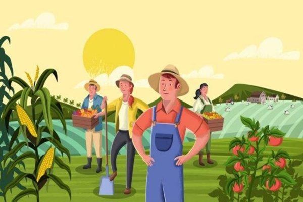 Food Estate, Solusi Atasi Krisis Pangan Masa Depan