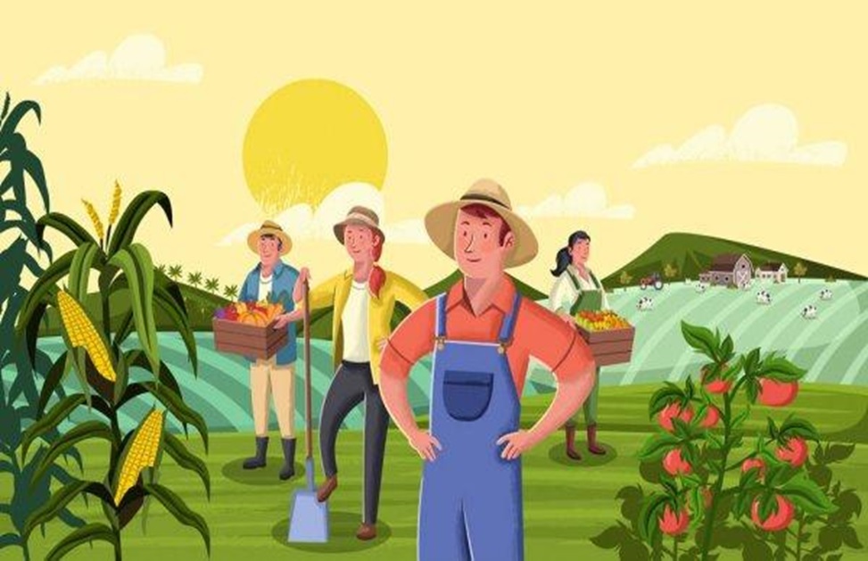 Food Estate, Solusi Atasi Krisis Pangan Masa Depan
